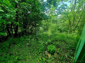 Chatka s krásnym pozemkom/1080m2-Štiavnické Bane - 5