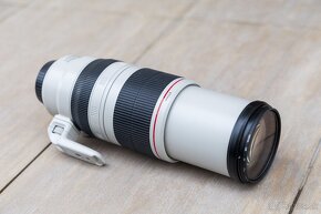 Canon EF 100-400mm 4.5-5.6L II USM - 5