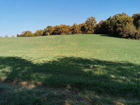 Pozemok v pokojnom prostredí 1401m2 - Veľké Hoste na predaj - 5