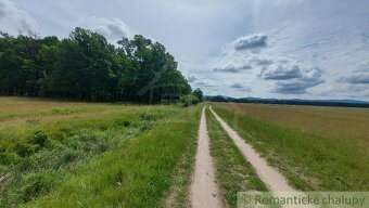 Lesný pozemok 37 000 m2 - 3,7 ha v obci Borský Mikuláš, 60 - 5