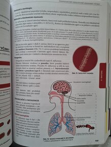 Lékařská Mikrobiologie - Repetitorium (3. vydanie) - 5