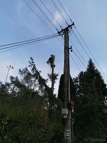 Rizikové orezávanie a výrub stromov, kosenie údržba záhrad - 5