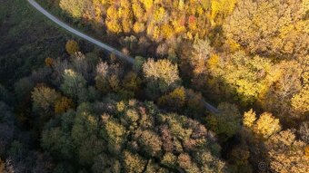 Kamenné (Košice) - 1.772 m2 LES v podiele 1/1 - 5