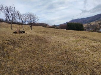 Predaj: veľký pozemok na stavbu domu, chaty v Hornom Vadičov - 5