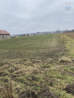 Predaj pozemku na výstavbu vinohradníckeho domu v  Skalici - 5