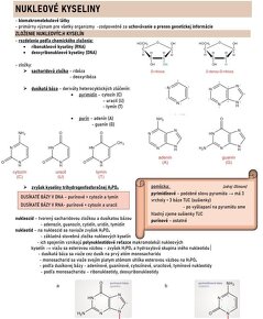 Prijímačky dentálna hygiena, medicína, farmácia, fyzioterapi - 5