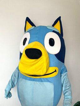 Maskot/kostým pes Bluey - 5