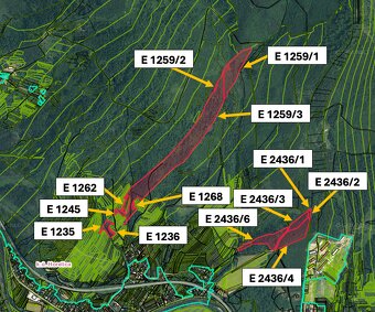 Čadca (Horelica) – 20.500 m2 ORNÁ PÔDA a LES – PREDAJ - 5