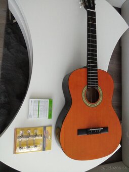 GITARA - 5