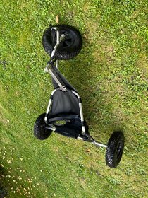 Flexifoil kite buggy - 5