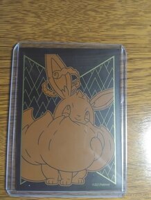 Pokemon Charizard - 5