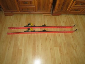 Predam ski-alp HAGAN,170 cm,Diamir do 335 mm - 5