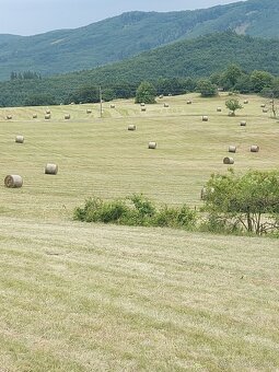 Balíky sena na predaj - 5