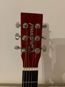 Anglicka, elektroakusticka gitara TANGLEWOOD - 5