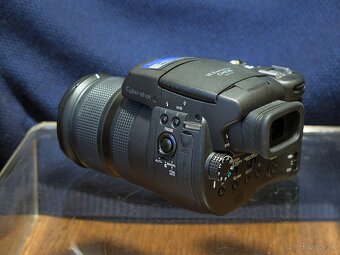 SONY DSC R1 - 5