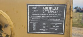 Cat 246 - 5