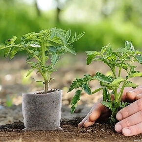 Sáčky na sadenice -  planty - 25 kus - 5