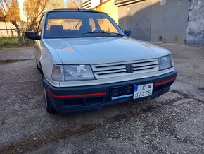 Peugeot 309 gti - 5