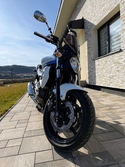 Suzuki Gladius 650 - 5