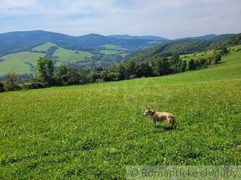 Väčší rekreačný pozemok s nádhernými výhľadmi nad obcou Zu - 5