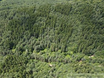 Na predaj les - lesný pozemok 6,75 ha - Osadné - 5