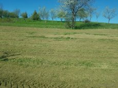 Mulčovanie travy, naletovych krovin, čistenie pozemkov - 5