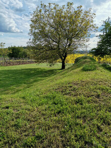 Pozemok na stavbu chaty v Podlužanoch, pivnica,veľký trávnik - 5