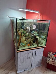 Predám akvarium 290 litrový - 5