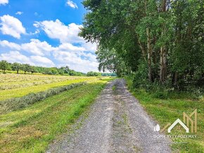 Veľkorysý, 2,5 ha pozemok v Krupine - časť Kopanice - 5