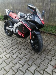 Derbi GPR 50 - 5