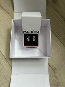 Pandora naušnice - 5
