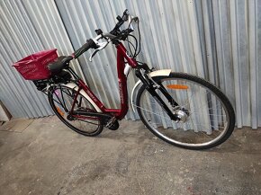 ebike Kennzel - 5