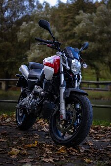 Yamaha MT 03 - 5