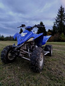 Yamaha Raptor 350 - 5