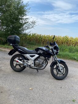 Honda 250 cbf - 5