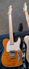 BaCH Telecaster - 5