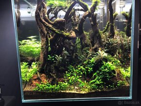 Dizajnové aquascapingové akvárium 125l - 5