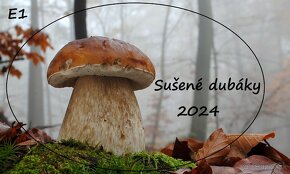 Sušené dubáky, sušené hríby 2024 - 5