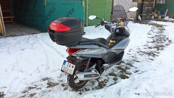 Honda Pcx 125 - 5