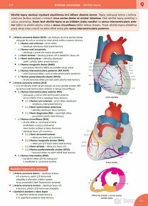 MEMORIX ANATOMIE  (5. vydanie, CZ, PDF) - 5