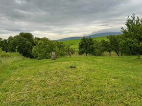 Vyšná Myšľa - gazdovský dom s veľkým pozemkom 5512 m2 - 5