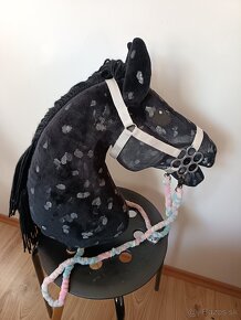 Hobby horse - 5