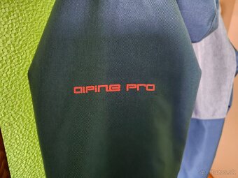 Alpine Pro - 5