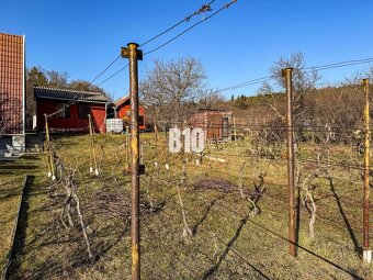 Na predaj výnimočná vinica v krásnej lokalite - 895 m2 - Nit - 5