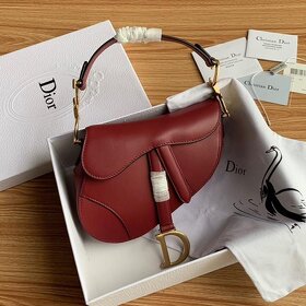 Dior Saddle Bag - 5