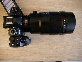 Panasonic LEICA DG ELMARIT 200mm f2.8 POWER O.I.S. + 1,4x Te - 5