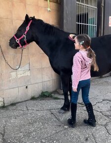 ❤ Pony kobylka 127 cm ❤ top povahy - 5