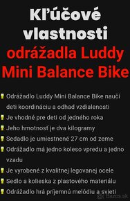 Luddy Mini Balance Bike, ružové - 6