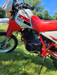 Yamaha XT 350 - 6