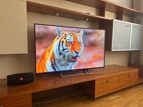 Sony Bravia KD-55XE7005 - 6